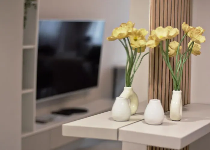 Boutique 2-bedroom Downtown 布尔加斯